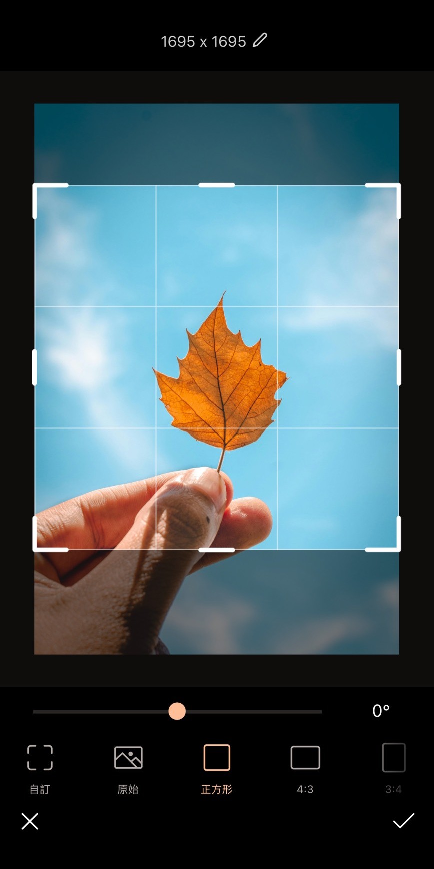 長輩圖製作教學