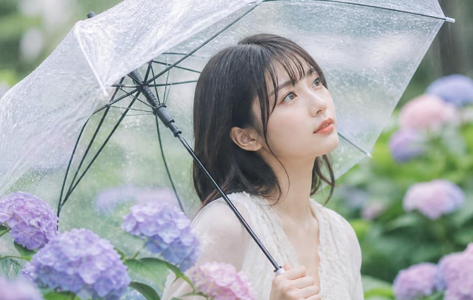 紫陽花ポートレートサンプル