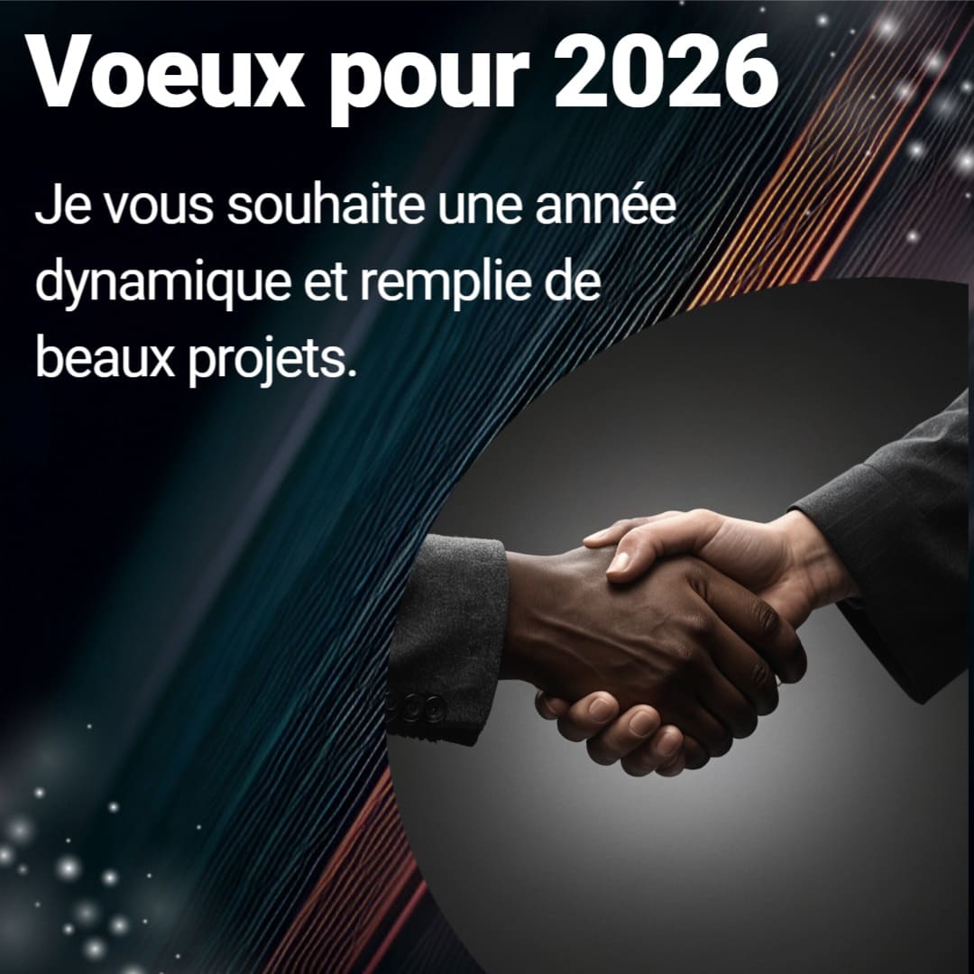 Exemple de vœux professionnels originaux