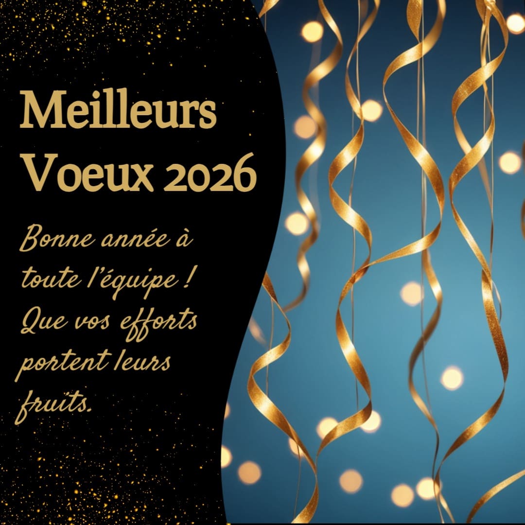 Exemple de vœux professionnels personnalisés