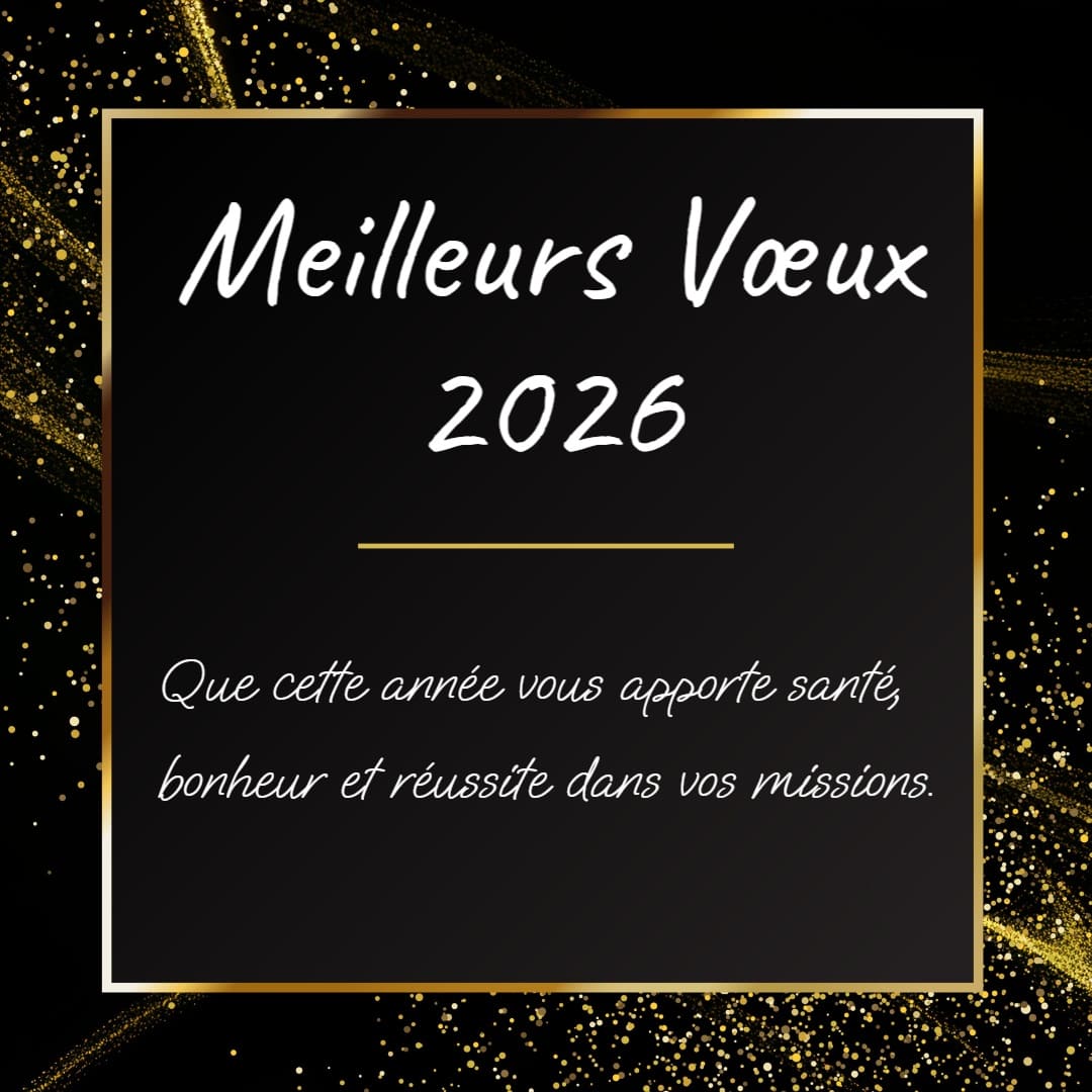 Vœux professionnels simples et élégants