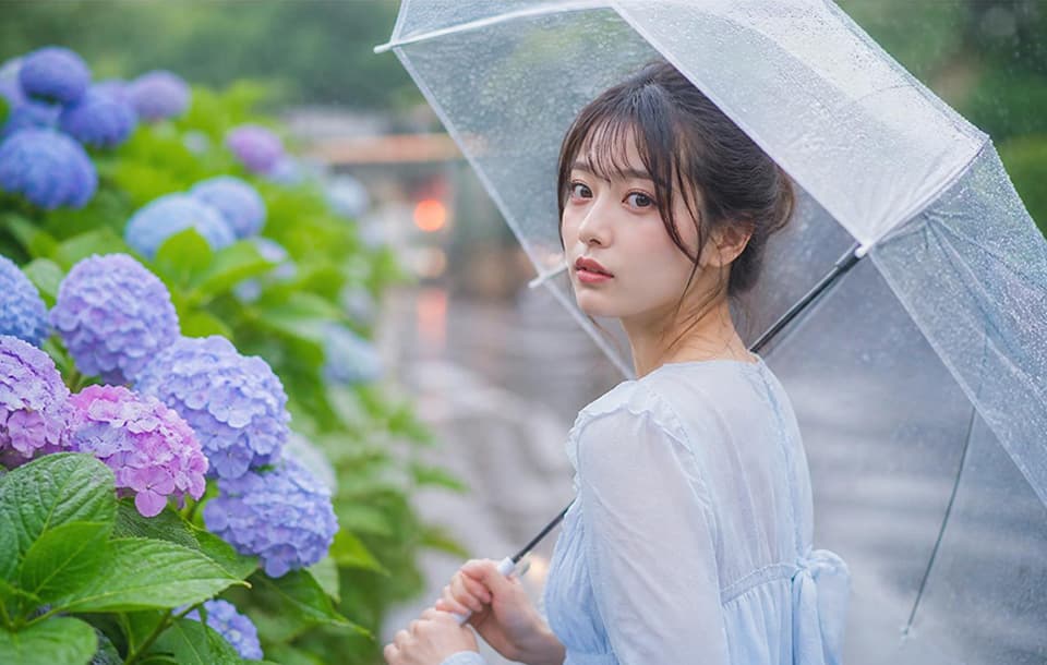 紫陽花ポートレートサンプル