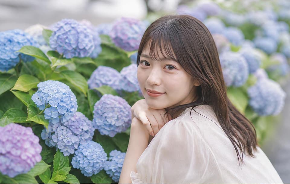 紫陽花ポートレートサンプル