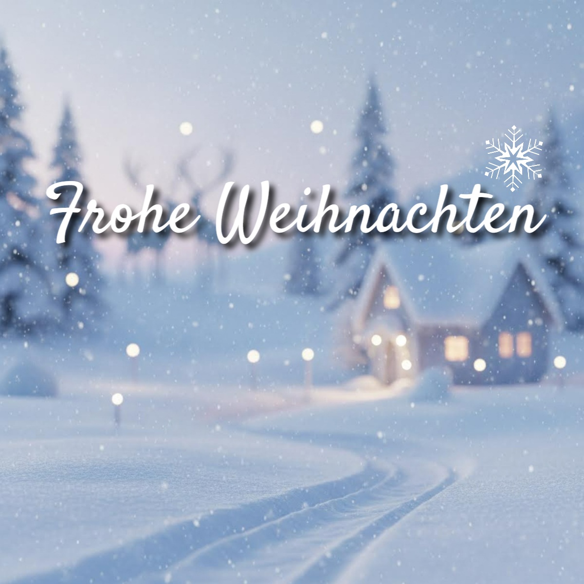 Fertiges Weihnachtsbild für WhatsApp mit der Aufschrift Frohe Weihnachten und verschneiter Winterlandschaft.