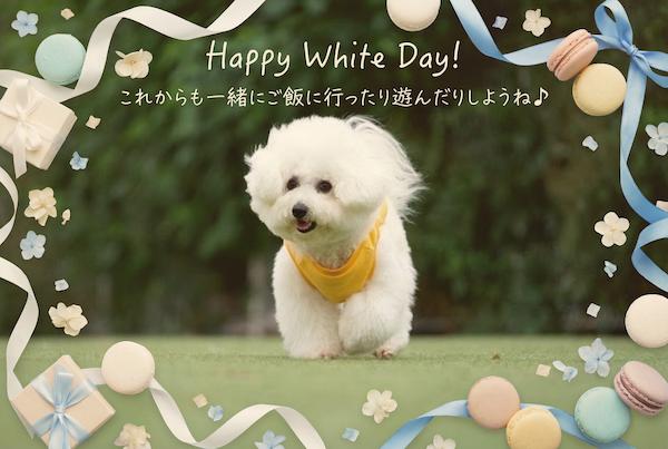 AI でホワイトデー加工