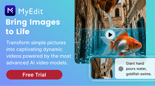 MyEdit - Image to Video