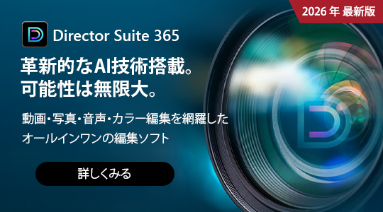 Director Suite の詳細をみる